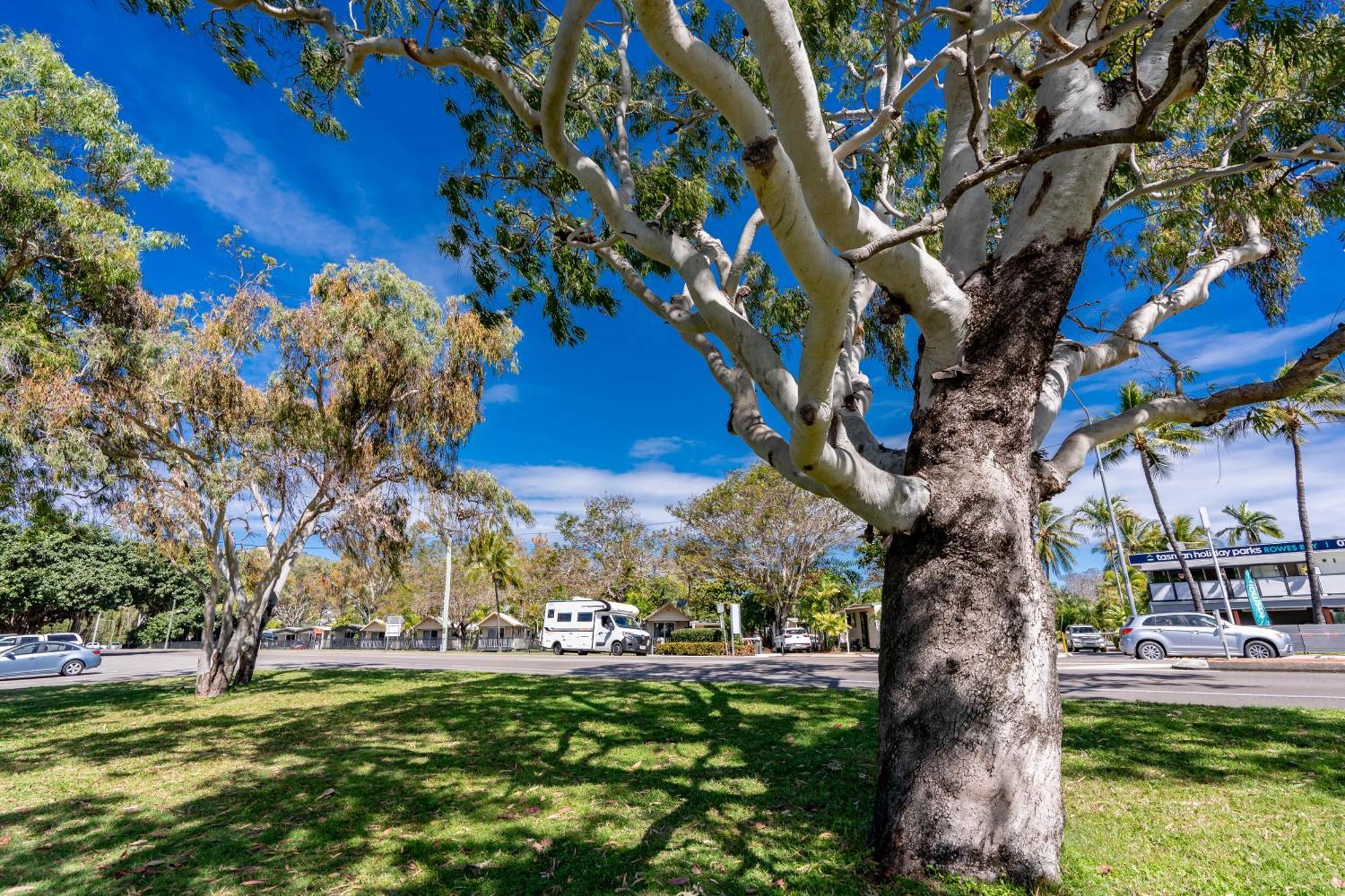Big4 Tasman Holiday Parks - Rowes Bay Townsville Eksteriør bilde